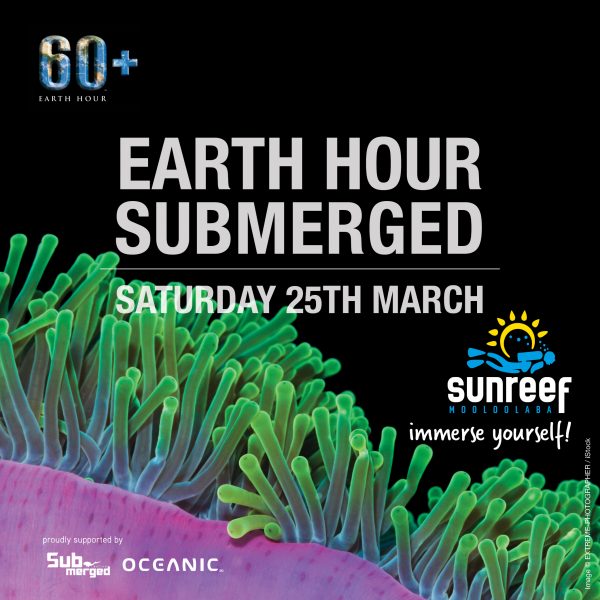 EH_submerged_square-Sunreef