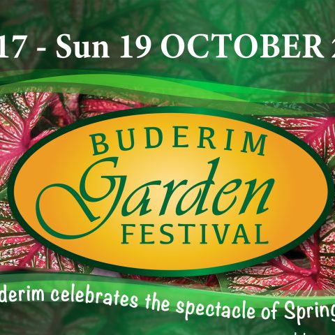 Buderim’s premier spring celebration returns with “2025 Garden Festival”