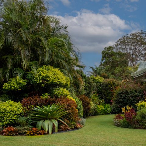 This year’s Buderim Garden Festival celebrating 80 years of community gardening
