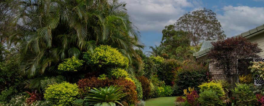 Stuart's Garden