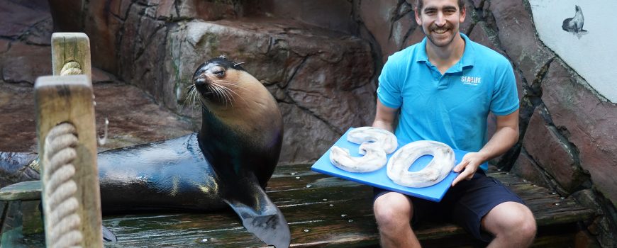 TWM & SLSC 30th Birthday - Nelson the Seal & mamal trainer Dylan Wesard with special 30th fish cake-med