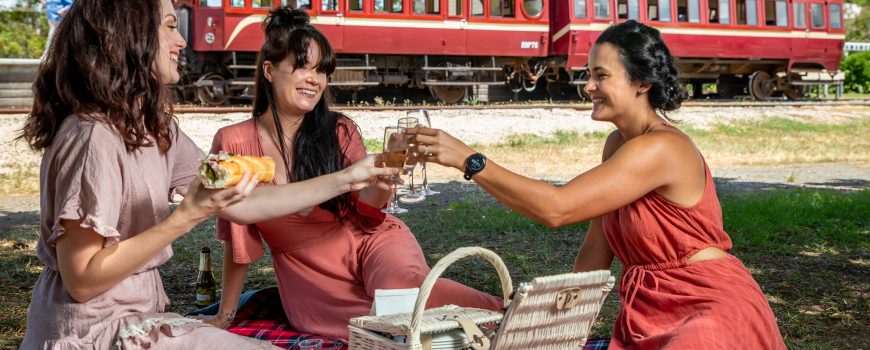 The Rattler Picnic Train - picnic with the girls - photo by Leeroy Todd-web