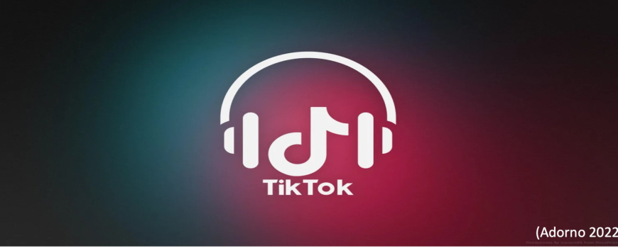 TikTok headphones